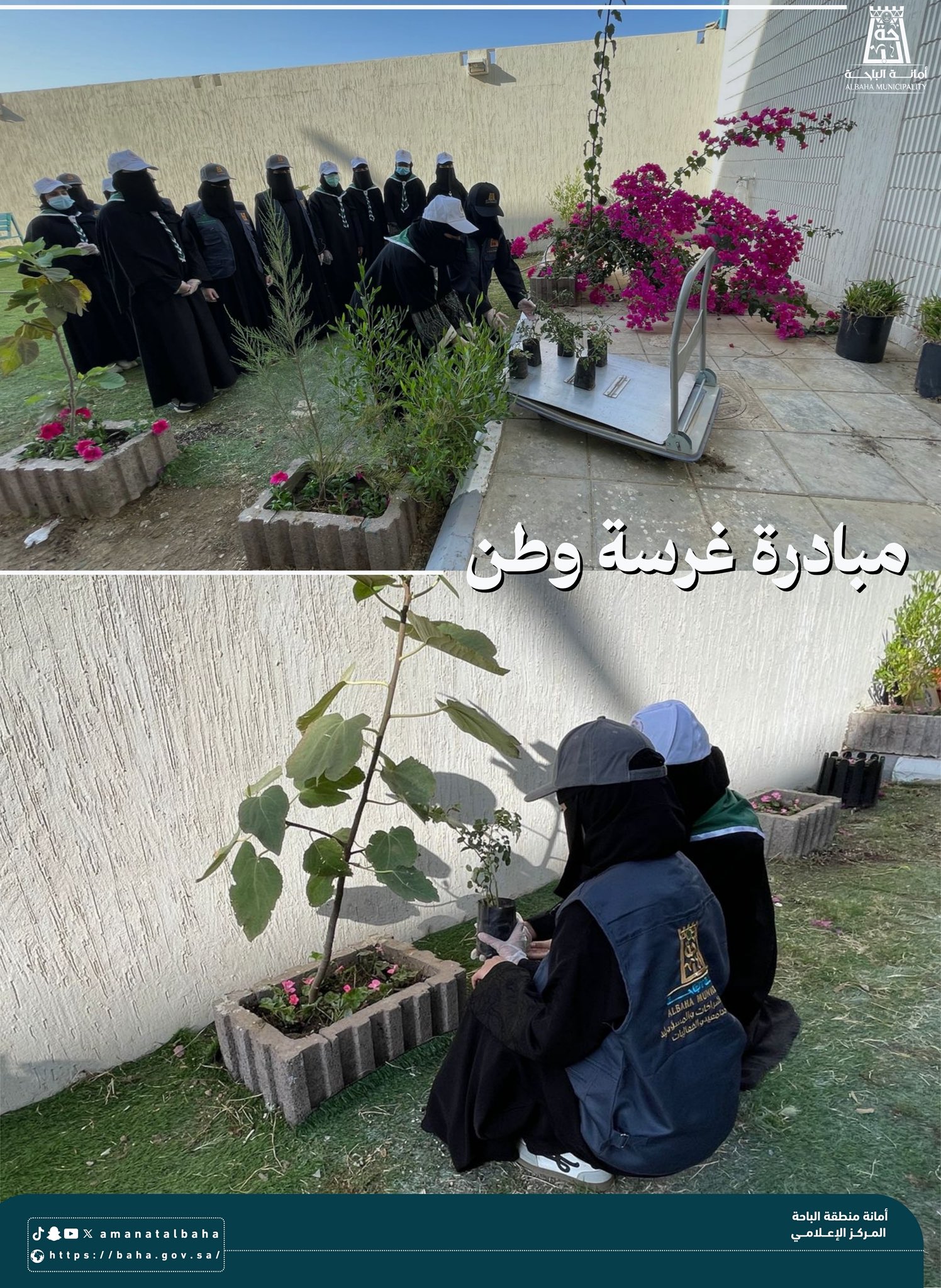 مبادرة "غرسة وطن" في الباحة